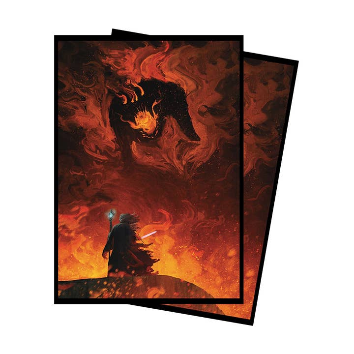 The Shadow and The Flame for wholesale by Paramint