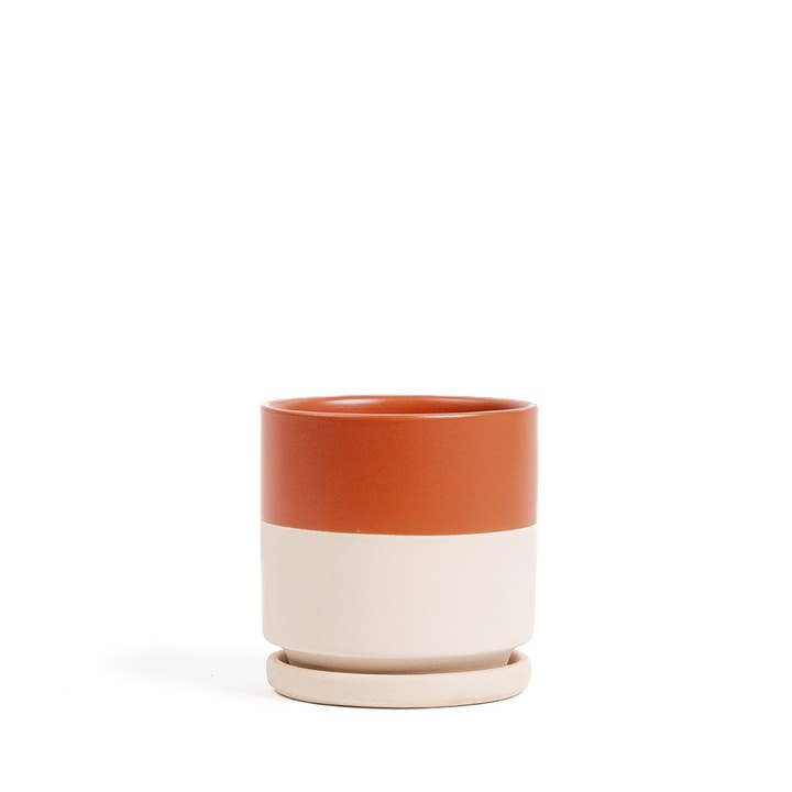 Momma Pots - Wholesale Plant Pot - 4.5" Gemstone Cylinder Pots with Water Saucers