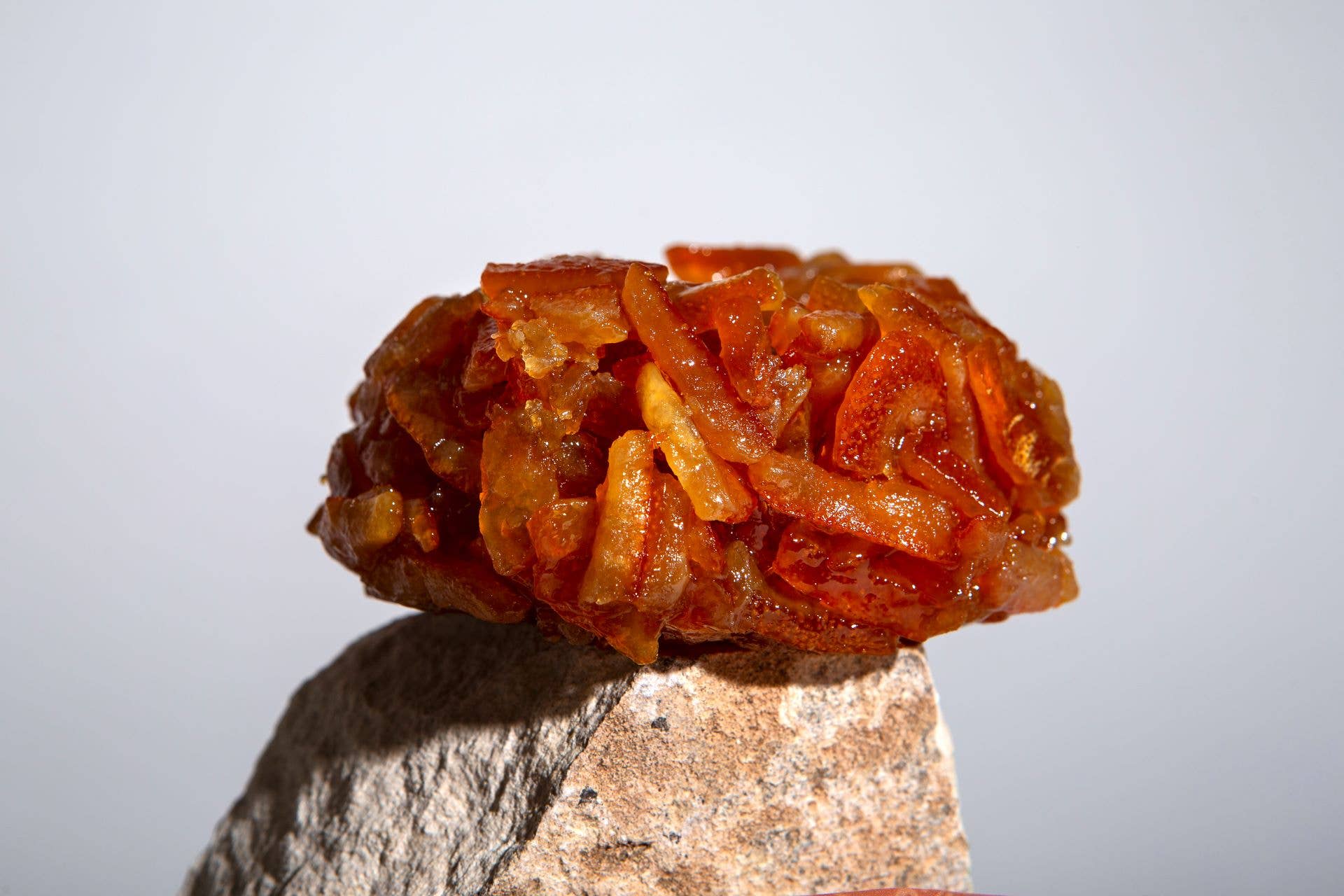 DONNA ELVIRA dolceria di Roccasalva Elvira – wholesale Sylt/gelé – Orangeade med apelsinskal, Hyblaean-honung och brunt socker4