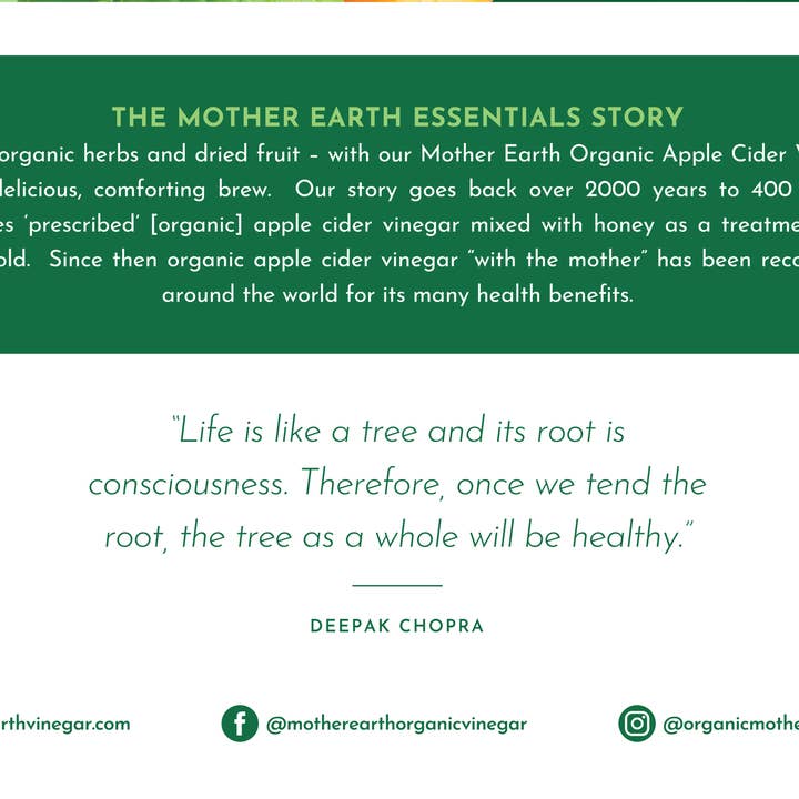 Mother Earth Essentials - Vendita all'ingrosso Tisane salutari e depurative - Basilico a buccia d'arancia My Main Squeeze - Baccello da tè1