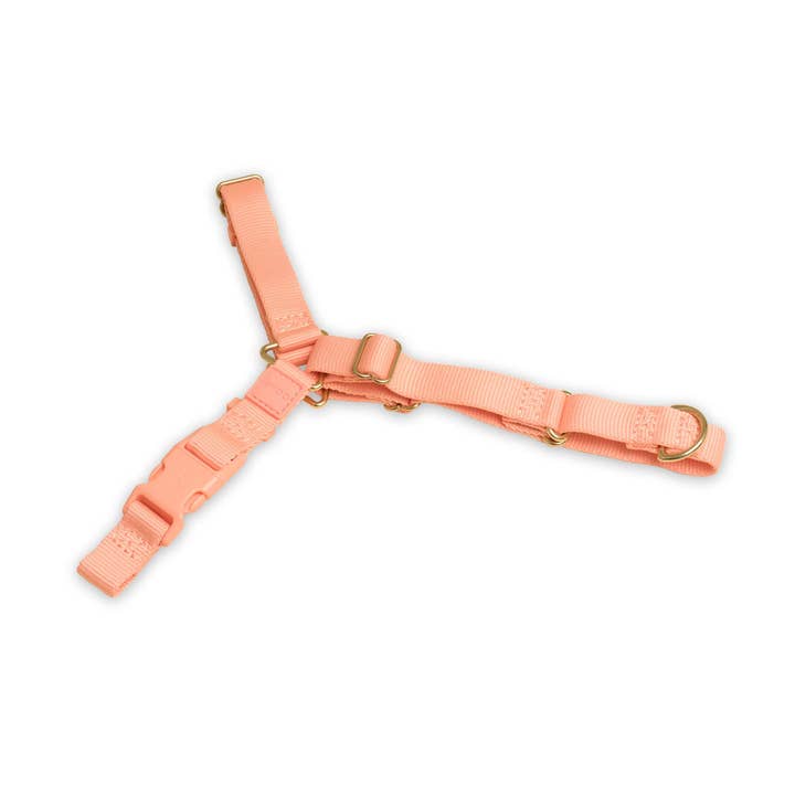 Roam Harness - Last Chance for wholesale by Awoo