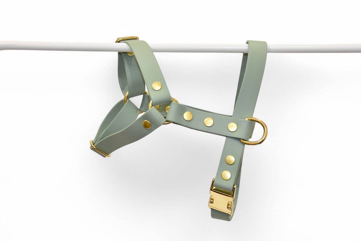 Pompon & Pets - Wholesale Pet Harness - Dog - Sea Green Harness - Biothane0