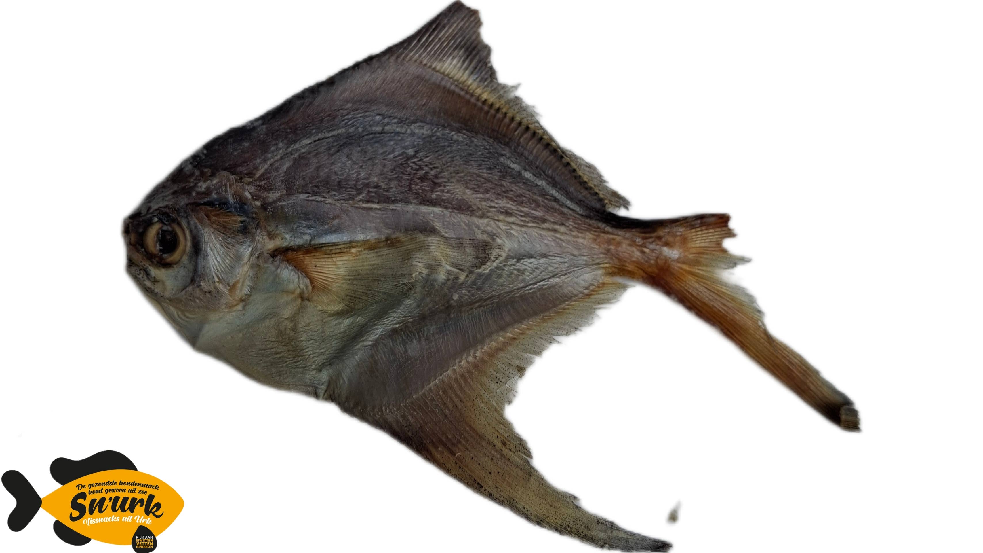 Sn'urk - Wholesale Pet Treats - Dog - Pomfret dried0