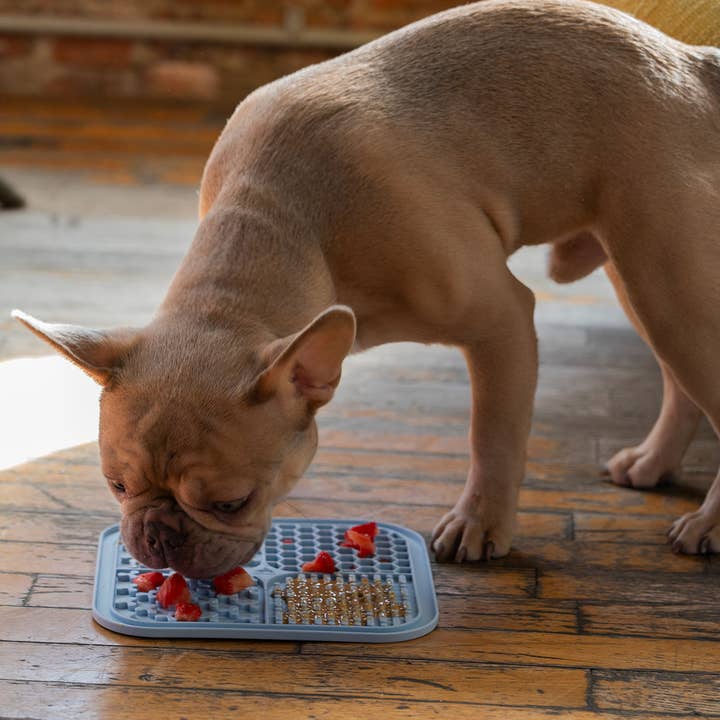 ADC Houndstone & Co. - Wholesale Pet Food Mat - Dog - Bundle & Save - Dog Lick Mats - (8 Blue, 8 Sage, 8 Rose)10