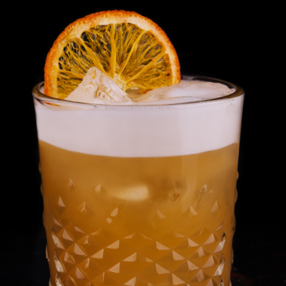 Drink Botanicals Ireland - Venta al por mayor Fruta deshidratada - Rodajas de naranja deshidratada3