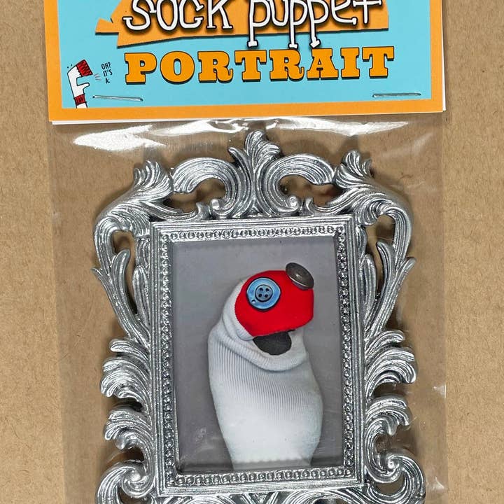 Sock Puppet City - Vendita all'ingrosso Stampa artistica - Sock Puppet Ritratto di Sam il calzino1
