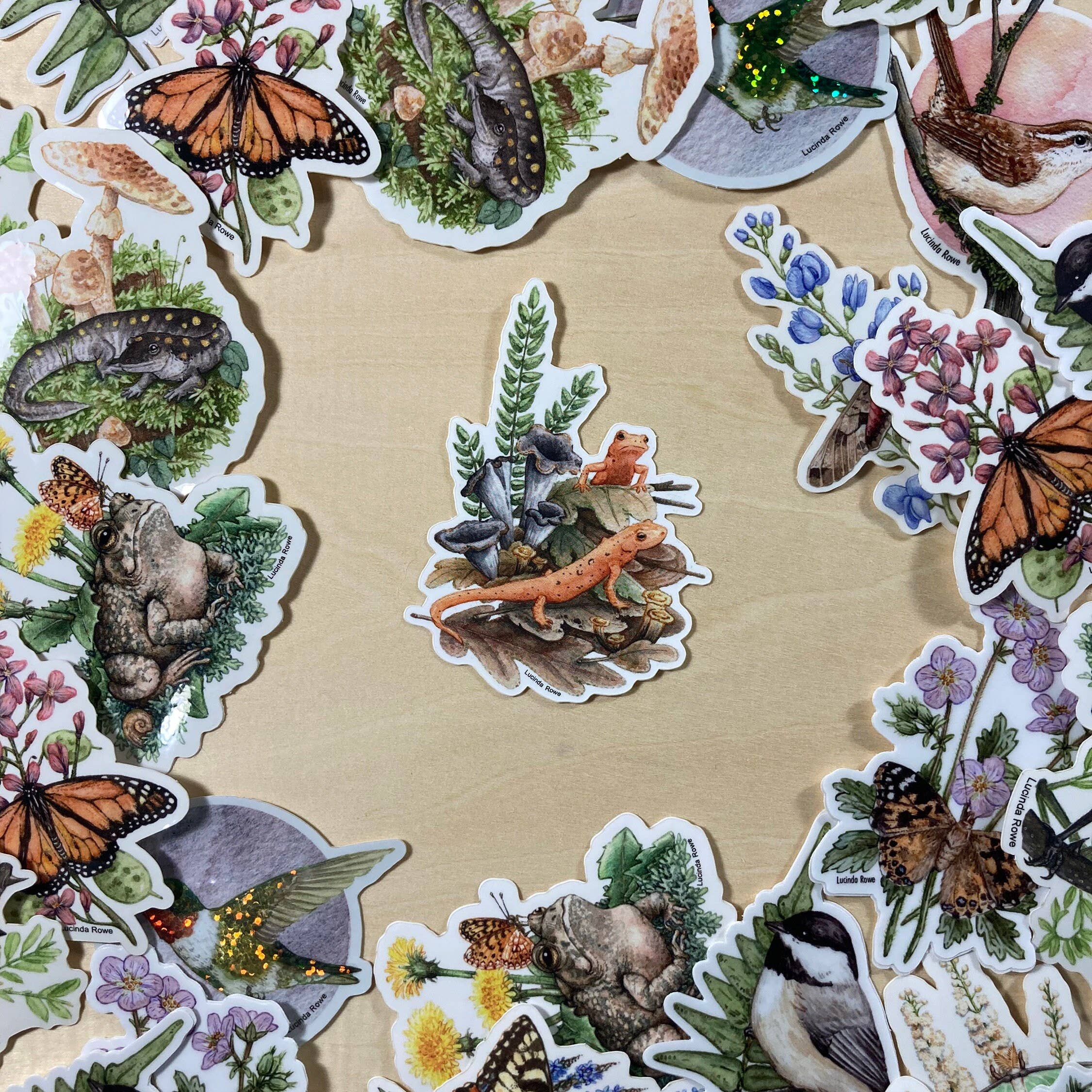 Lucinda Rowe Art - Wholesale Sticker - Sticker - Red Efts With Trumpet Chanterelles2