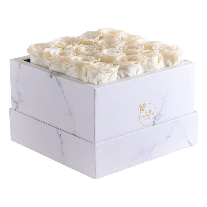 16 Ivory Roses Marble – Luxury Preserved Roses for wholesale by Rose Forever