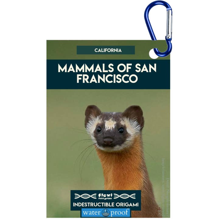 Mammiferi di San Francisco-Indistruttibile Origami per la vendita all'ingrosso da parte di Flexi Field Guides