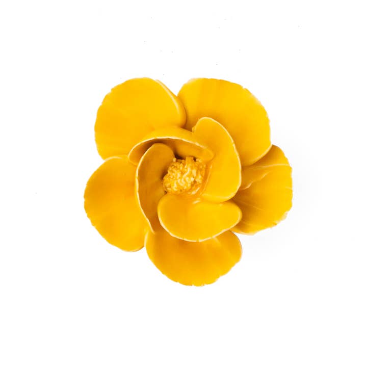 Chive - Vente Décoration murale - #FR06 Articles Cadeaux de la Boutique de Fleurs Coquelicot Jaune Brûlé