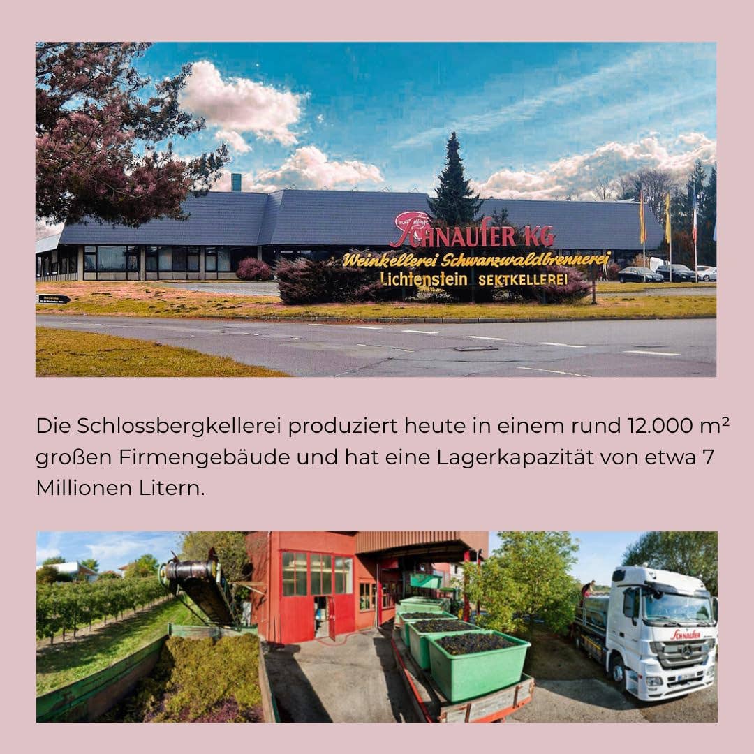 Justbe modern wine drinks - Wholesale Rose Wine - Schnaufer Pinot Rosé Brut – Premium vintage rosé 4