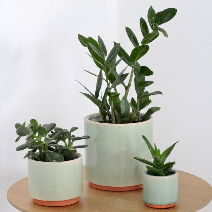 Sprout & About - Wholesale Plant Pot - Large Sage Green and Terracotta Ceramic Round Planter Pot