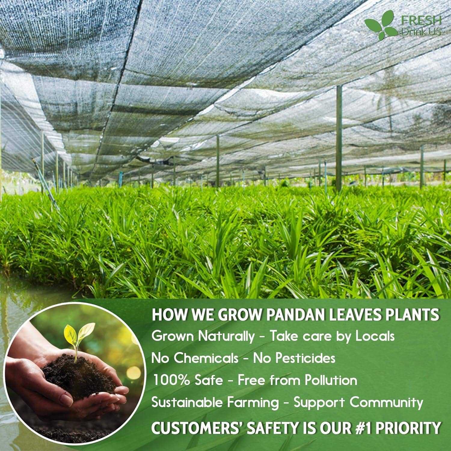 Naomi's Happy Place Shop - Wholesale Health/Detox Tea - Natural Pandan Leaves Dried, Pandan Leaf Powder, 100% Pure Dried Pandan Leaves, Pandan Leaf Tea, No Additives, No Caffeine, Vegan3