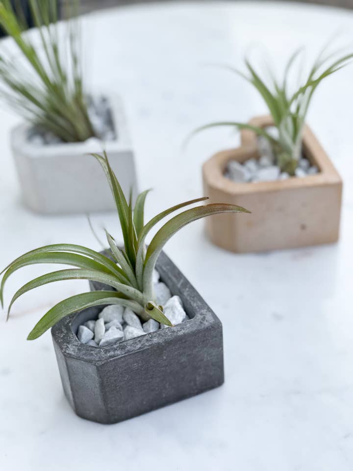 Suporte de concreto coração por atacado de Autumn Moon