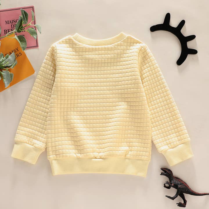 PatPat - Wholesale Sweatshirt - Kids - Toddler Boy Dinosaur Textured Pullover Sweatshirt