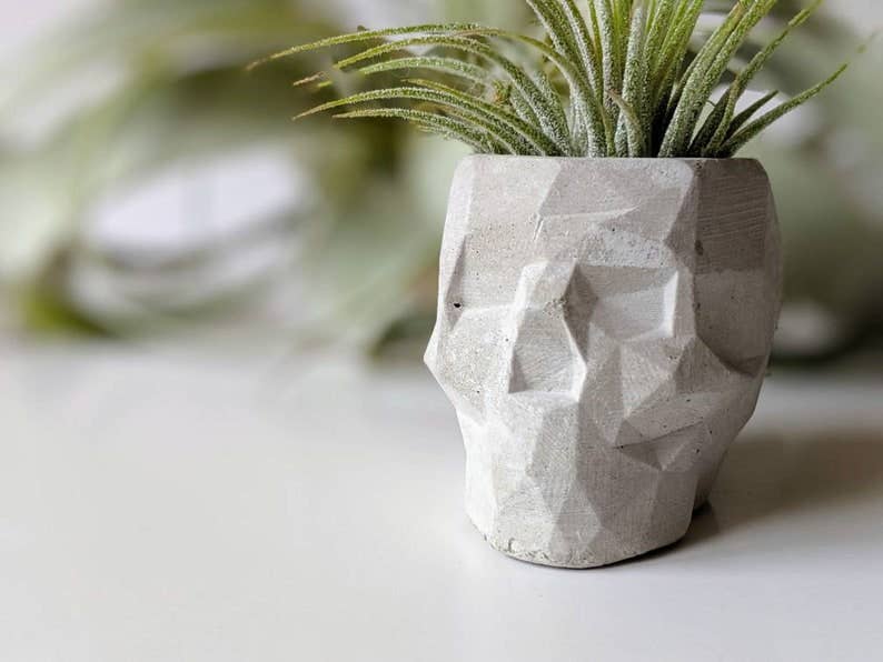 ForgottenProperty - Wholesale Plant Pot - Concrete Geometric Skull Air Plant Holder1