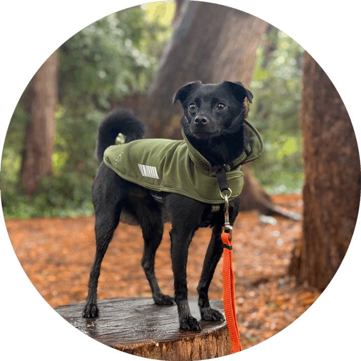 Wildebeest - Wholesale Pet Raincoat - Dog - All Weather Dog Jacket | Waterproof Dog Rain Coat | Fleece22