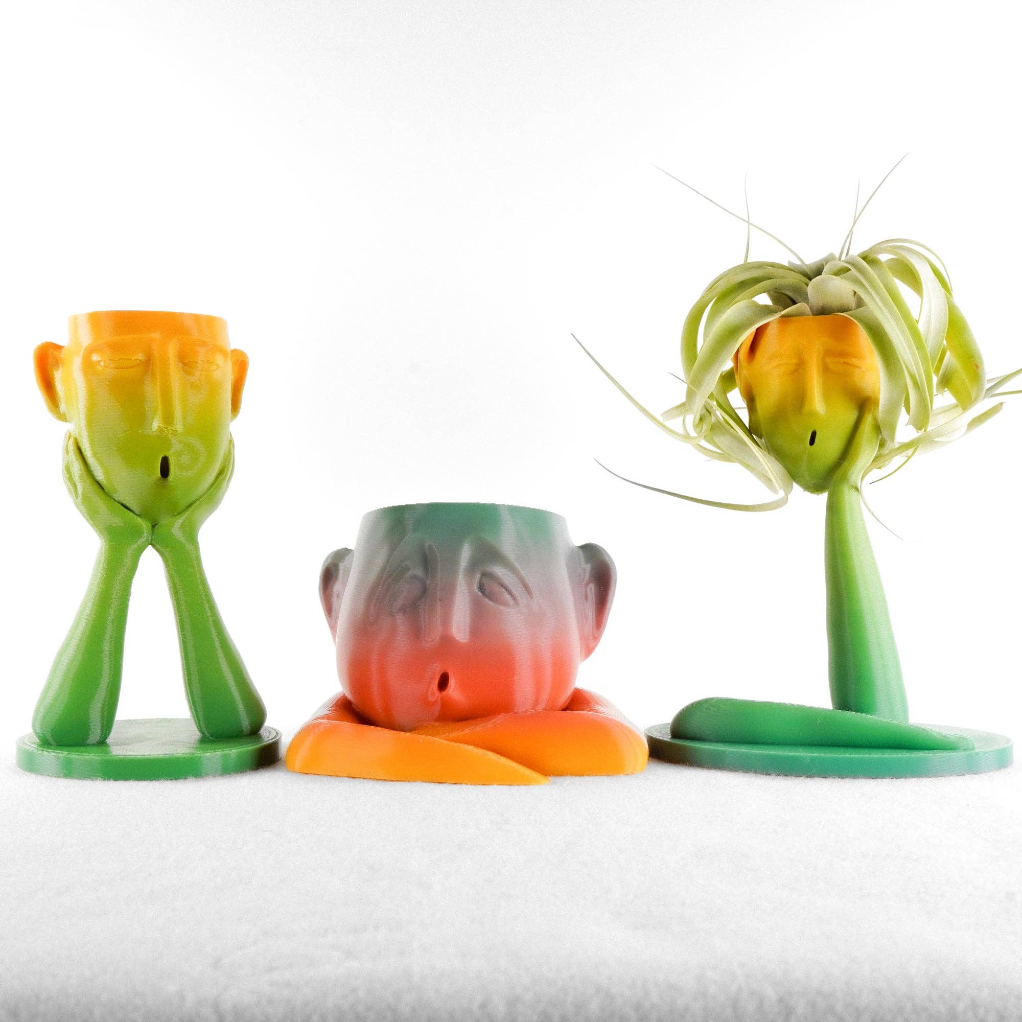 Rosebud Homegoods - Vente Pot - Jardinière Tête Méduse Air4