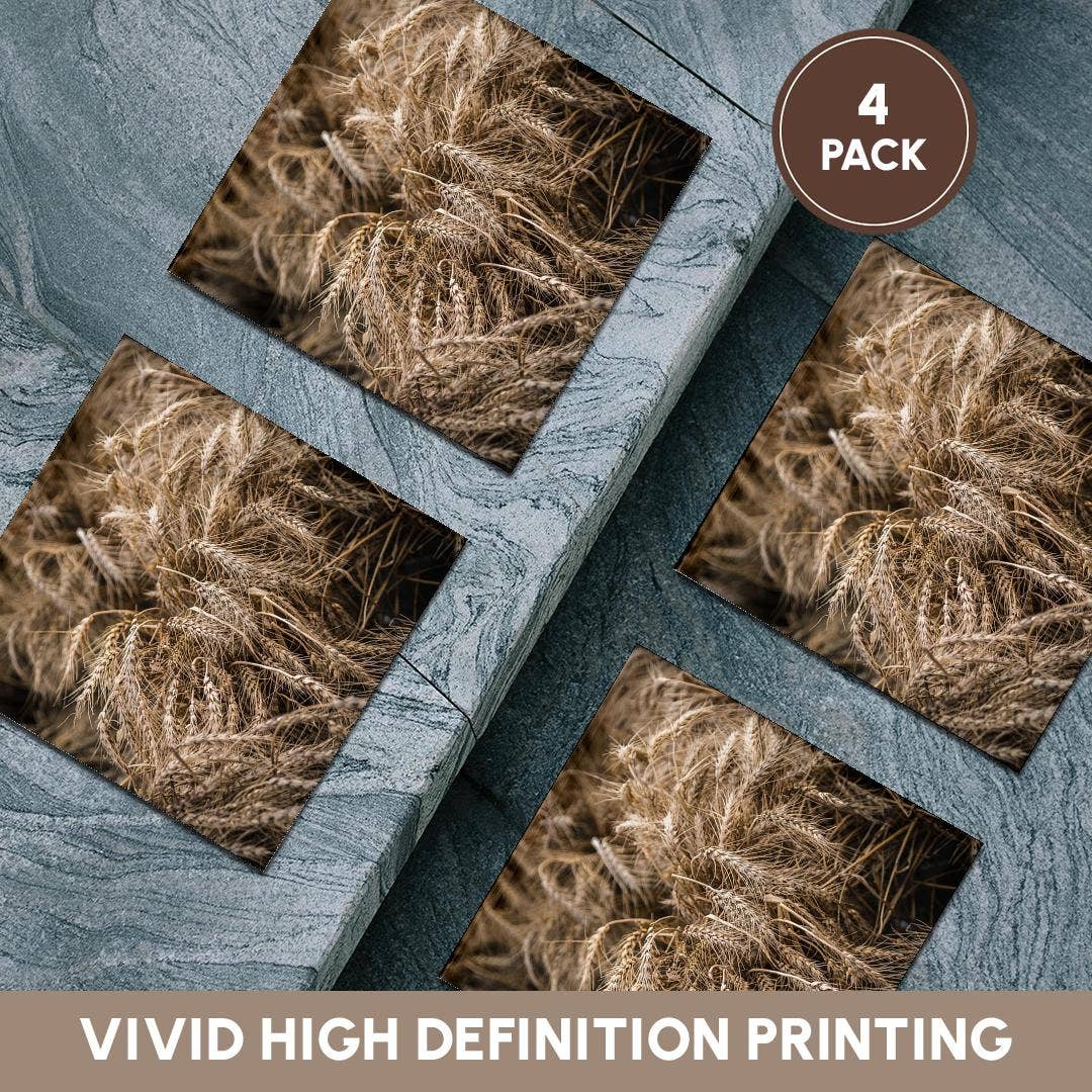 3dRose - Wholesale Onderzetters - 3dRose, Mooie aren van tarwe. Vruchten van de herfstoogst. Thanksgiving-thema, Onderzetter5