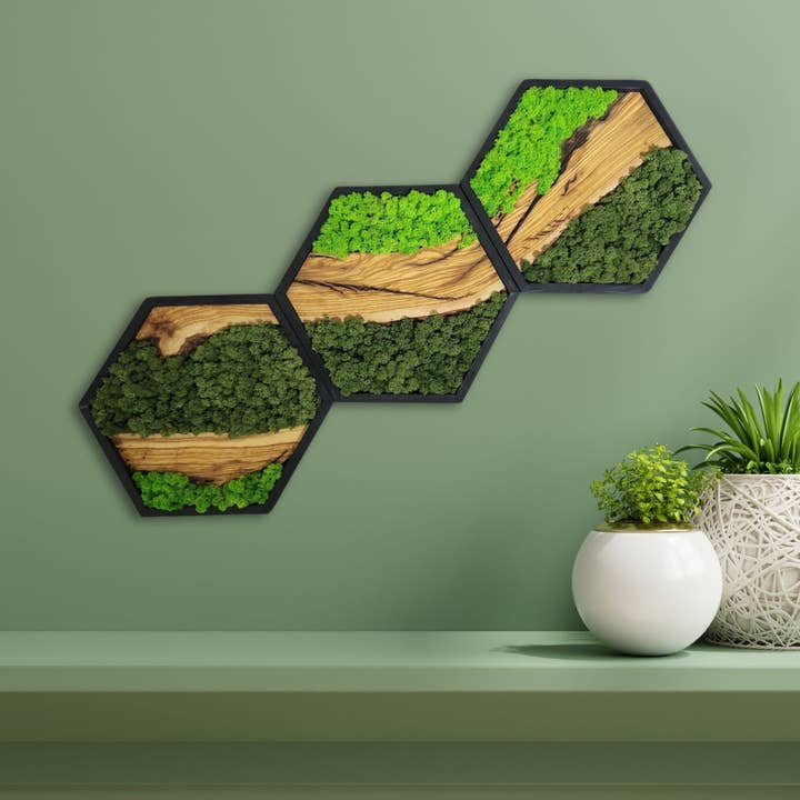 Artdesigna KG - Wholesale Wall Accent - Honeycomb Moss & Olive Tree | Premium Handmade Wall Sculptures1
