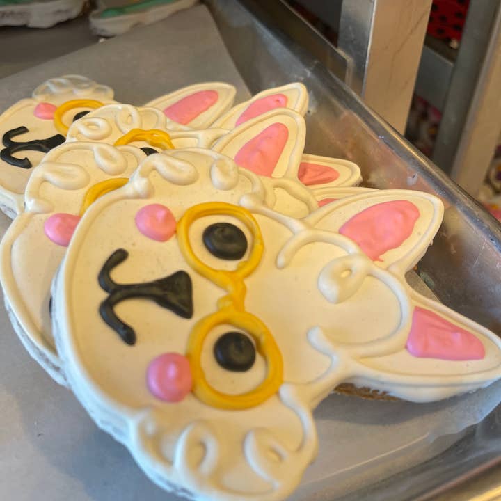 Lucky Biscuit Pet Bakery - Wholesale Pet Treats - Dog - Through the Looking Glass Limited Edition