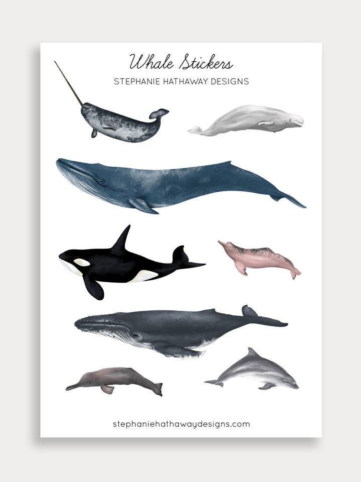 Hoja de pegatinas de ballenas para venta al por mayor de Stephanie Hathaway Designs