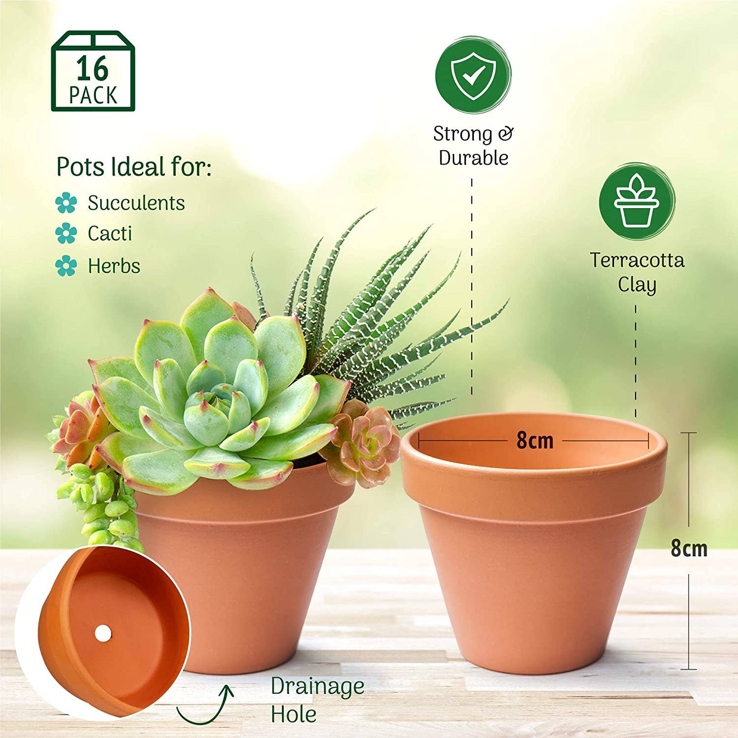 Jara Trading – wholesale Plant pot – Small Clay Terracotta Plant Pots - 16 Pack4