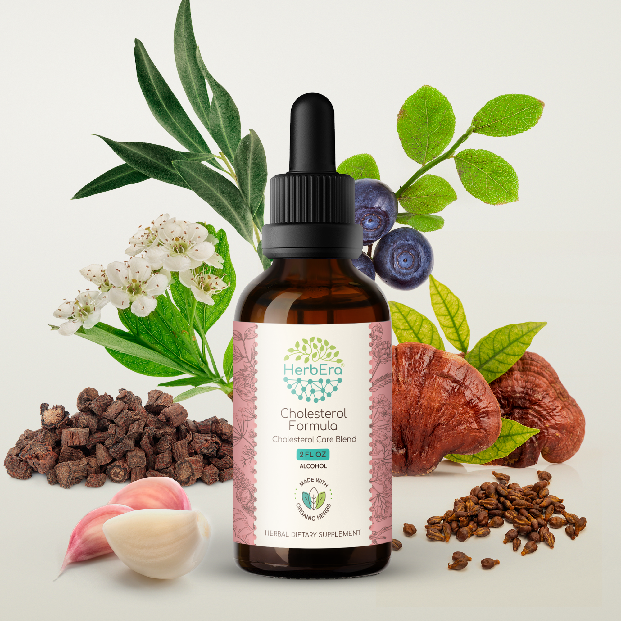 HerbEra - Wholesale Tincture - Cholesterol Formula Tincture12