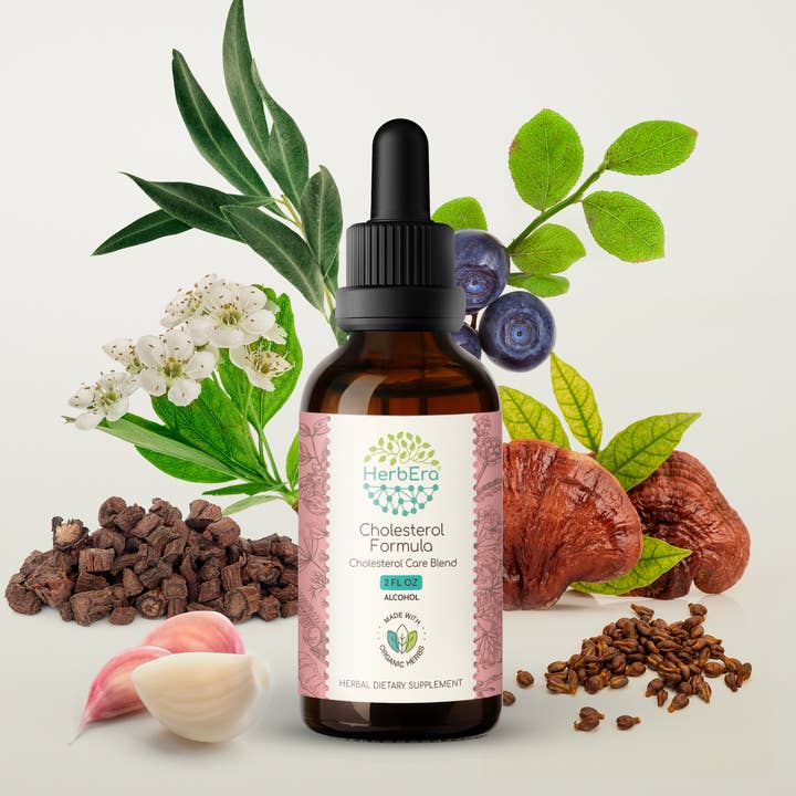 HerbEra - Wholesale Tincture - Cholesterol Formula Tincture12