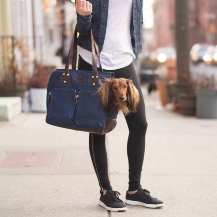 DJANGO - Wholesale Pet Carrier - Dog - Dog Carrier Bag - Navy Blue Waxed Canvas and Leather5