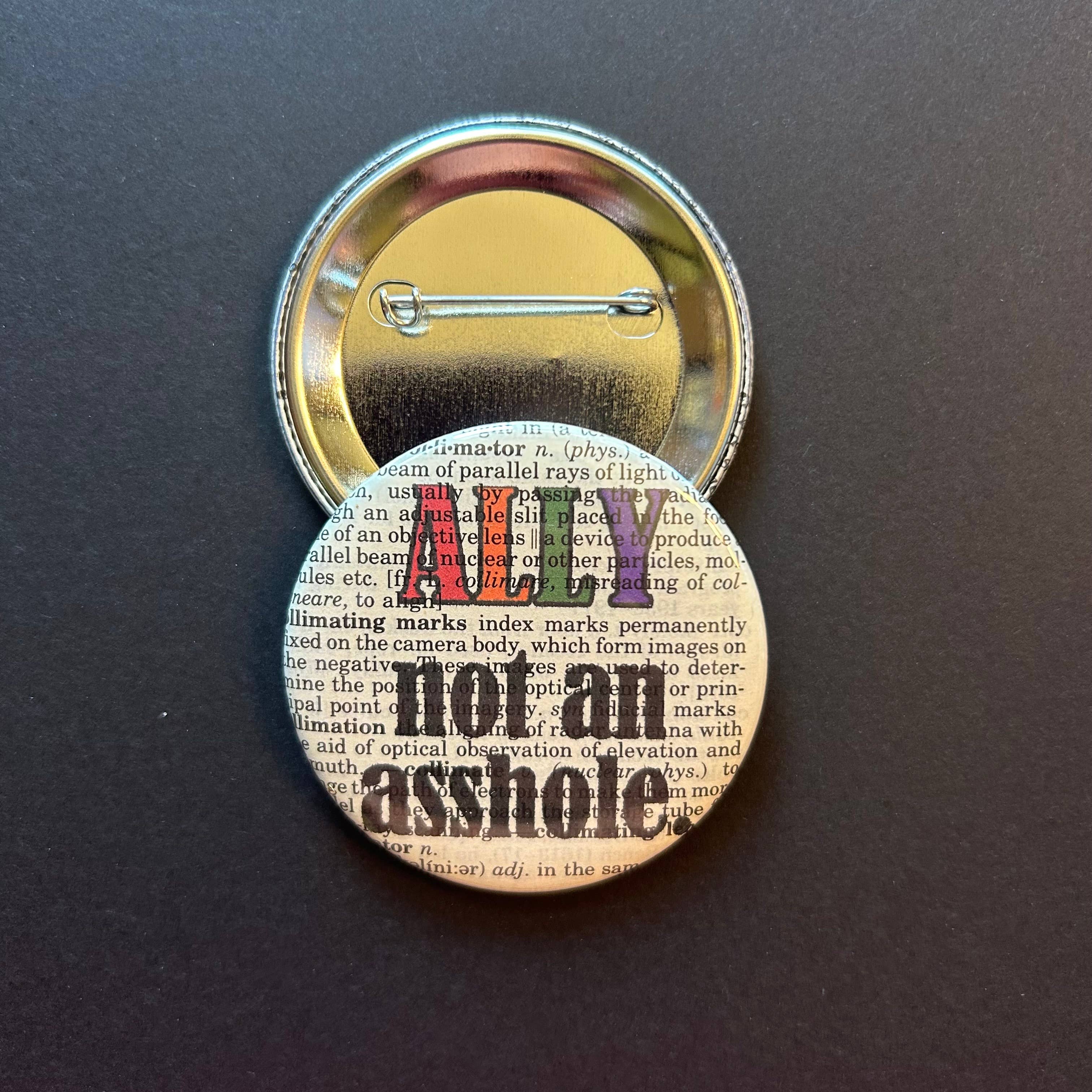 Bookish Birds - Wholesale Lapel Pin/Button - Ally not an asshole | Pin | 2.25" | LGBTQ 0
