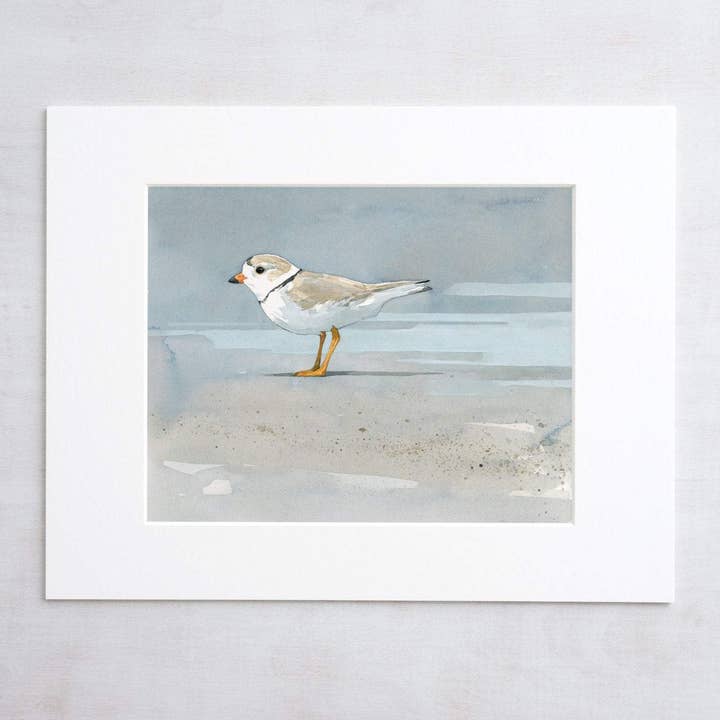 Studio Tuesday - Wholesale Art Print - Piping Plover Beach Art Print, Coastal Décor
