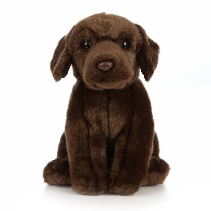 Keycraft - Wholesale Stuffed/Plush Toy - Kids & Baby - Living Nature Chocolate Labrador Plush Stuffed Animal Toy