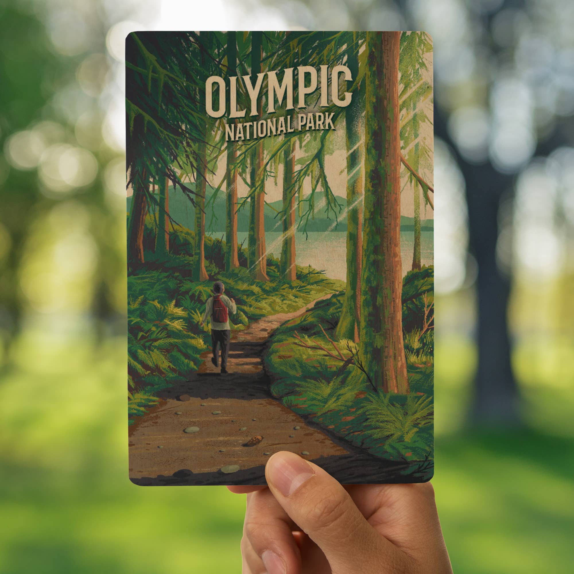 Lantern Press – wholesale Postcard – WOOD POSTCARD Olympic National Park, Walk in the Woods6