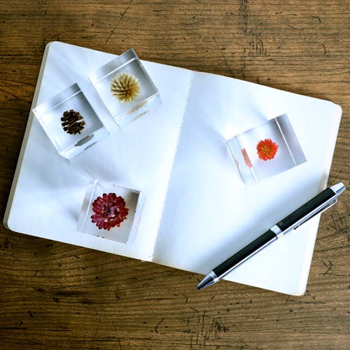 Sola cube - Wholesale Decorative Tabletop Object - Globe amaranth5