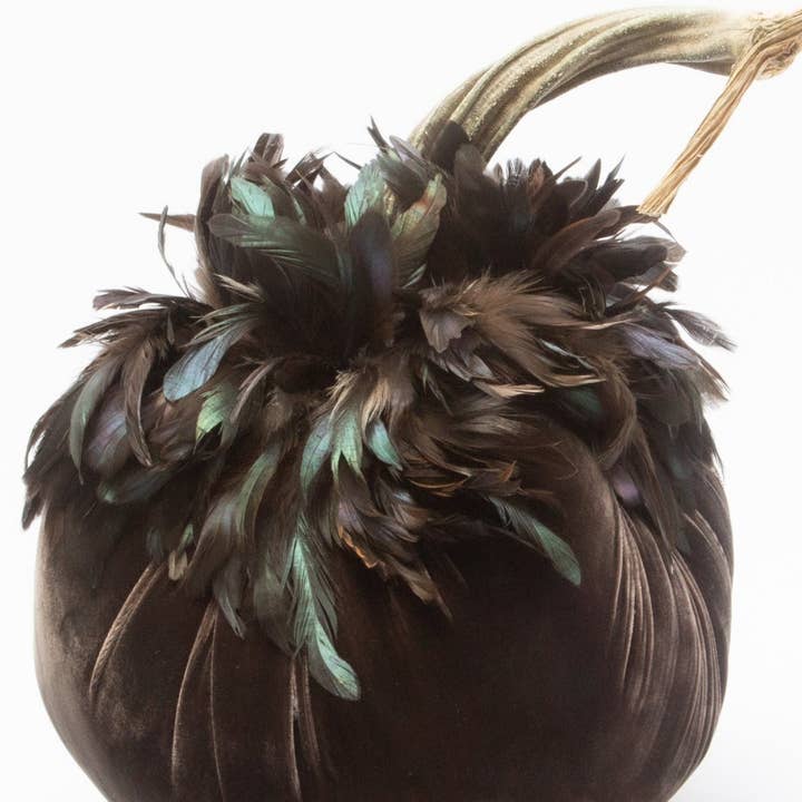 Espresso w/ Bronze Feather Collar for wholesale by Hot Skwash