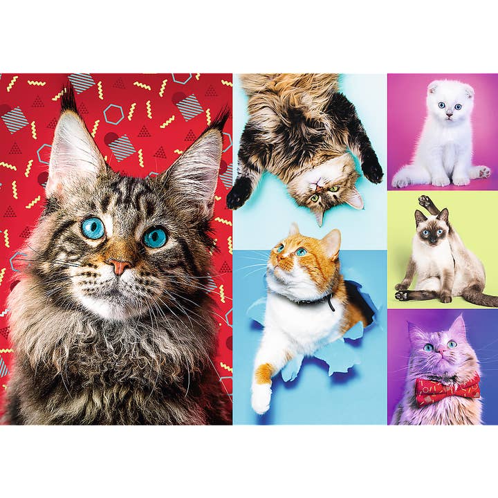 1000 Piece Trefl Jigsaw Puzzle, Happy Cats for wholesale by TREFL by Bridge Toys