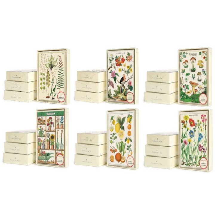 Cavallini Boxed Notecards Pack - 12 Assorted for wholesale by Bobangles