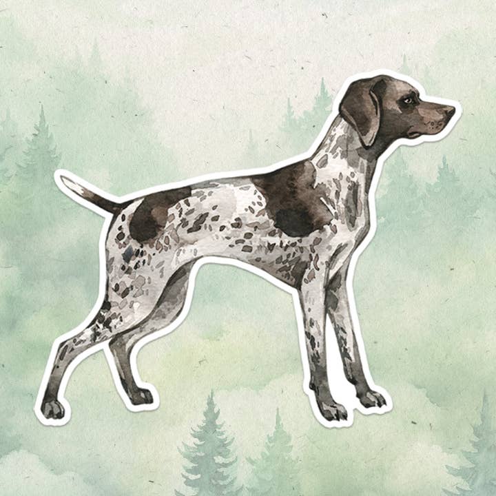 Shorthaired Pointer dog sticker for wholesale by Soul Familiar
