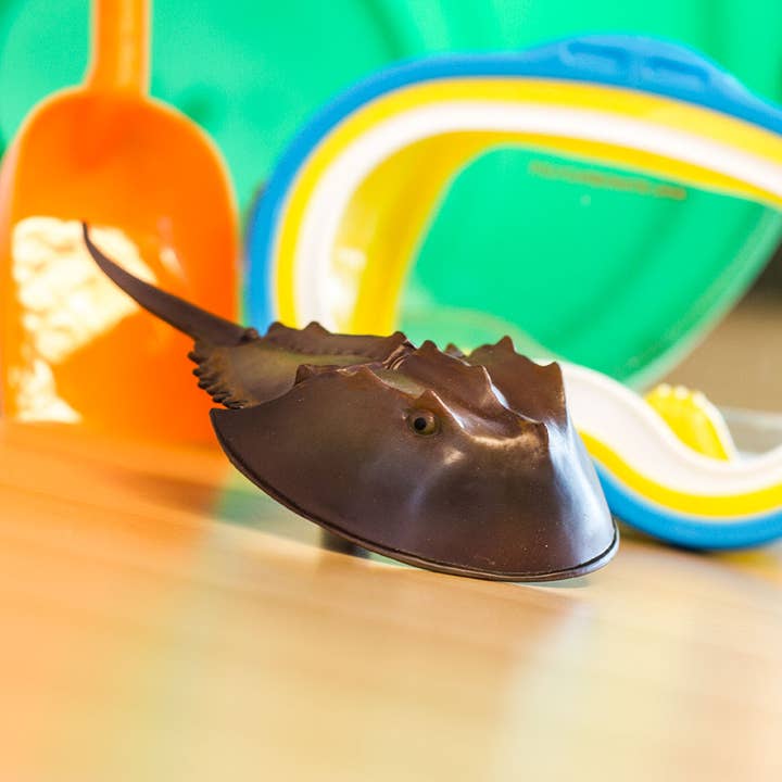 Safari Ltd. - Wholesale Figurine Toy - Kids - Horseshoe Crab - 2614294