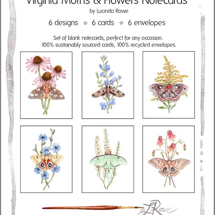 Lucinda Rowe Art - Wholesale Stationery/Notecard Set - Notecard Set - 6 Moths & Wildflowers On Blank Recycled Cards7