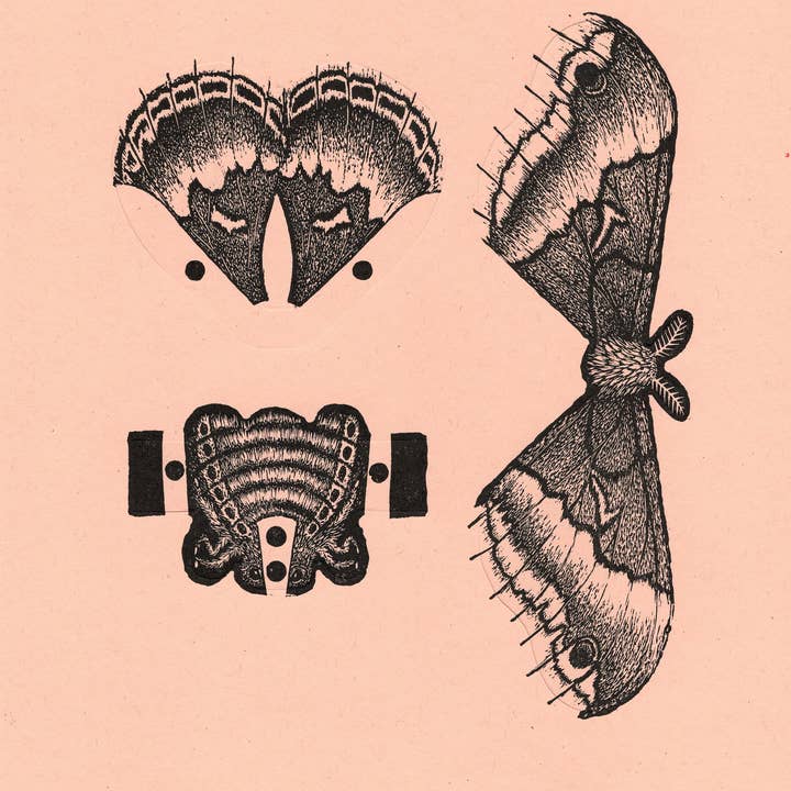 Questionable Press - Wholesale DIY Craft Kit - Moth Paper Sculpture4