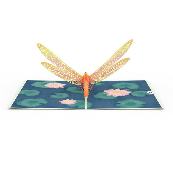 Lovepop Cards - Wholesale Everyday Greeting Card - Dragonfly on Water Lily 5''x7'' Card, Pop-Up Cards