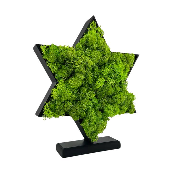 Moos Stern 20cm x 20cm mit Ständer für den Großhandel von Moosgenuss