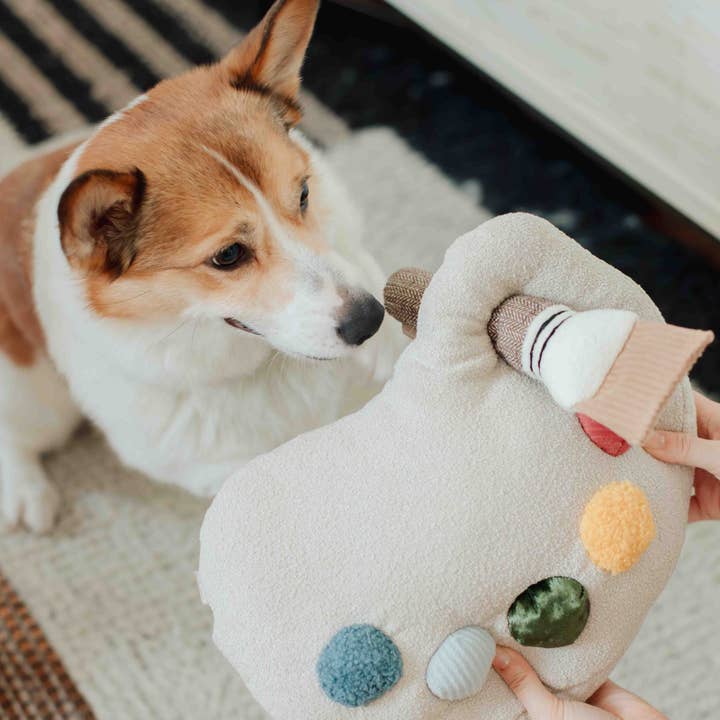 Lambwolf Collective – Engroshandel Legetøjssæt - Hund – Color Palette-sæt // ENRICHMENT legetøj til hunde2