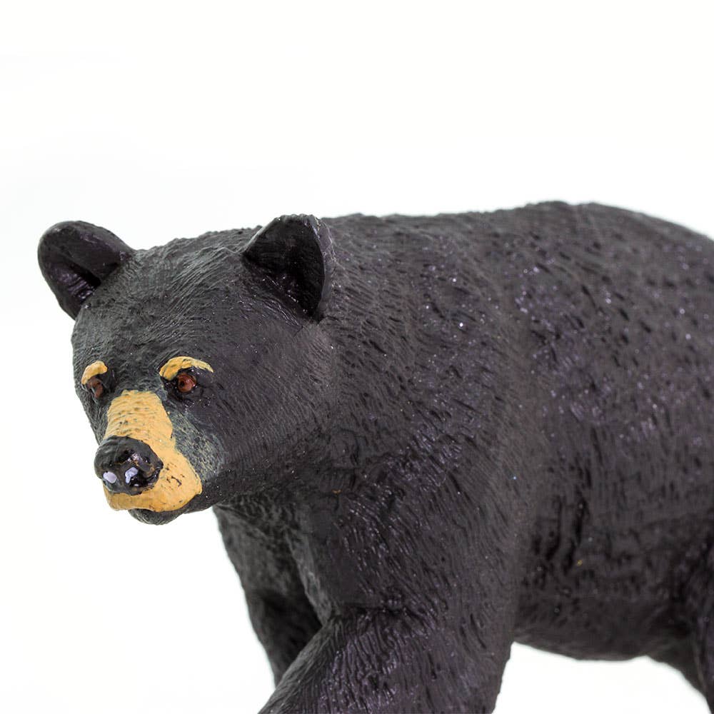 Safari Ltd. - Wholesale Decorative Figurine - Black Bear - 2735294