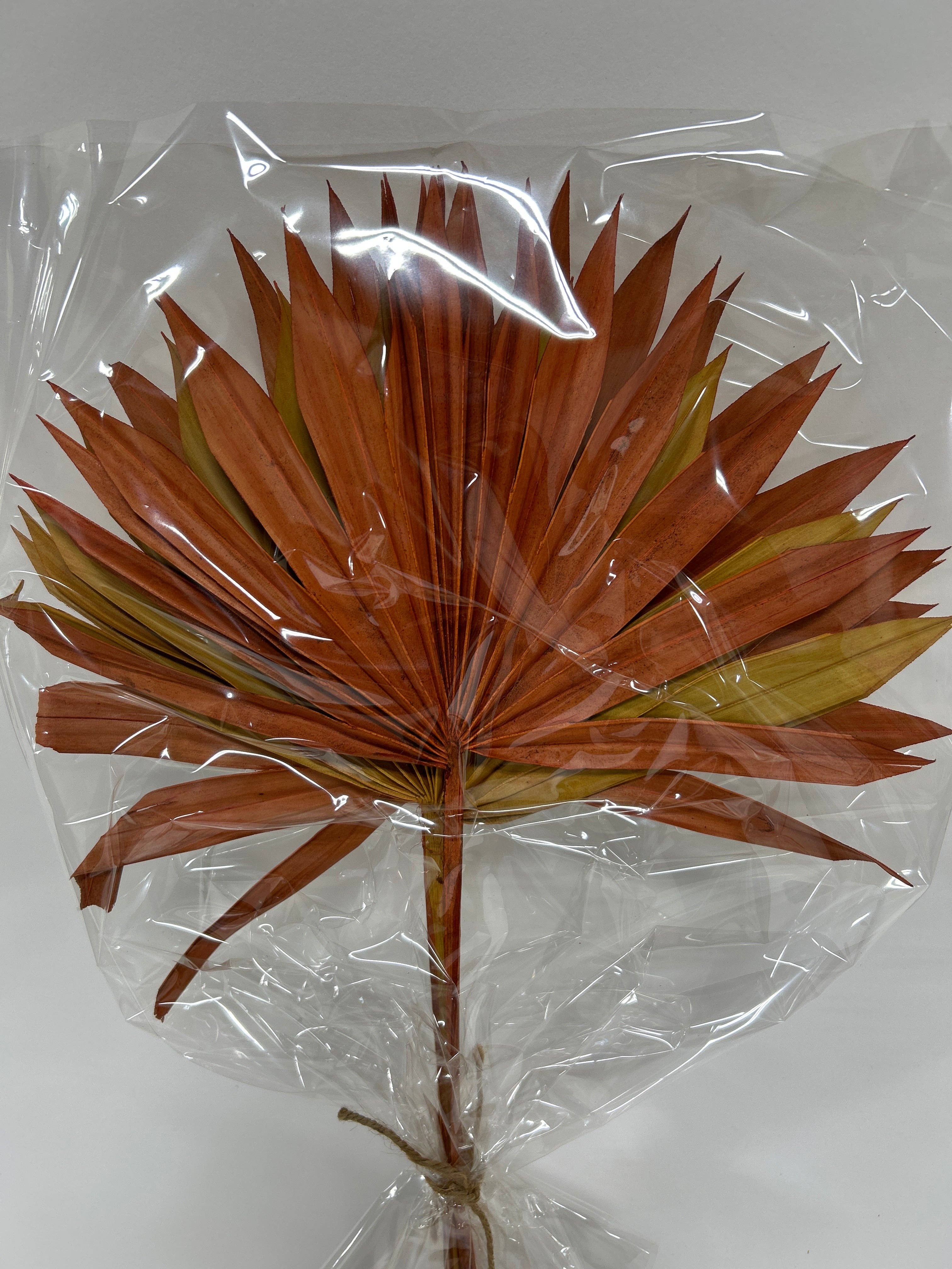 GS Foliage - Wholesale Dried/Pressed Flowers - Dried Sun Palm - 3pc Bunch 4