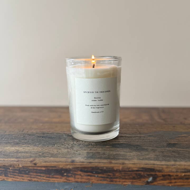 Incenso, Fumo + Cuoio Candela Artigianale di Soia per la vendita all'ingrosso da parte di Species by the Thousands
