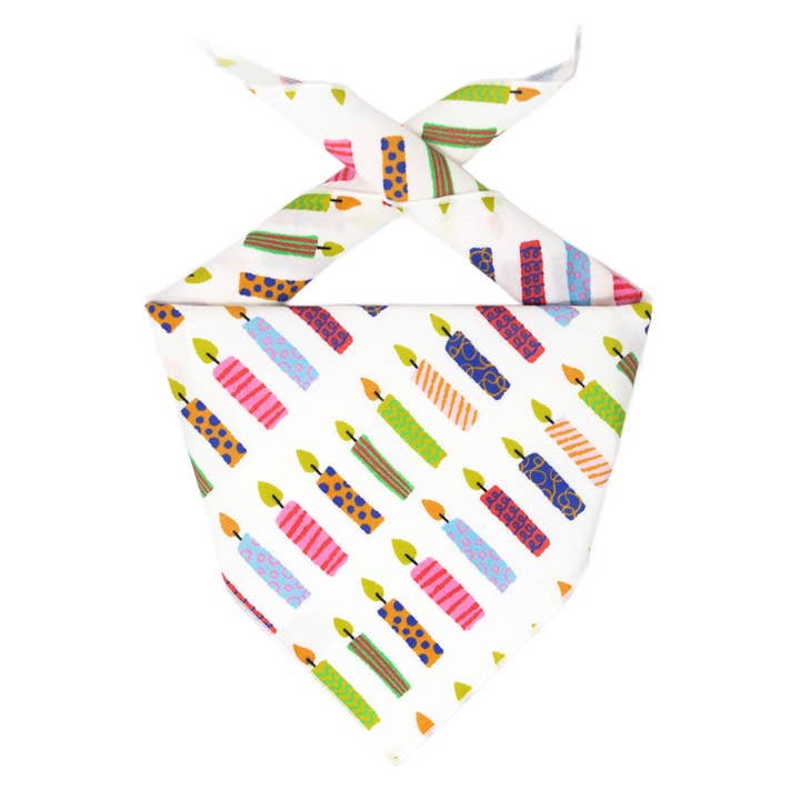 Birthday Dog Bandana | Candles for wholesale by Paisley Paw Designs