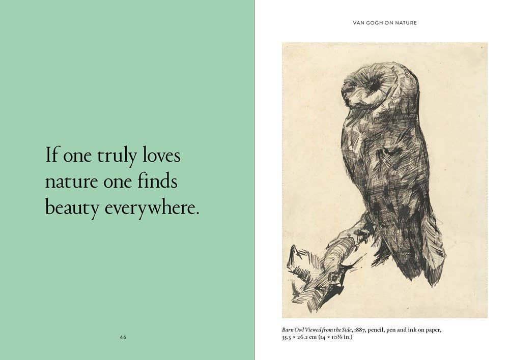 W. W. Norton - Wholesale Biography & Memoir - The World According to Vincent van Gogh5